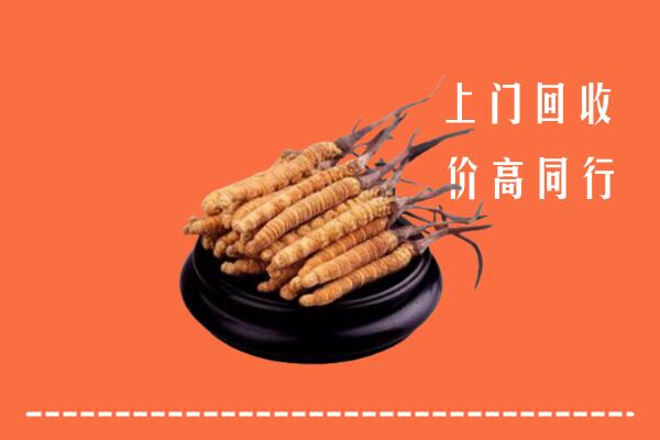 高价求购：蚌埠市五河回收散虫草