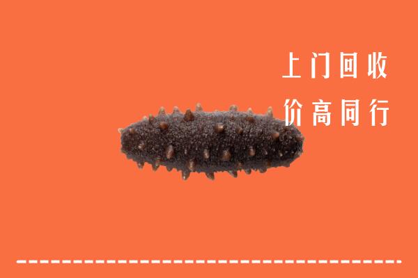 高价求购：蚌埠市五河回收海参