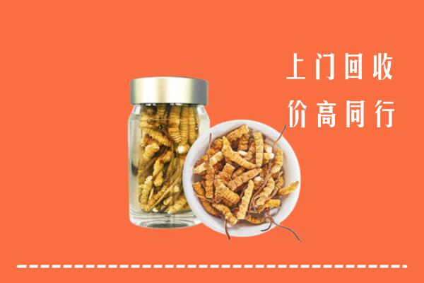 蚌埠市五河回收冬虫夏草